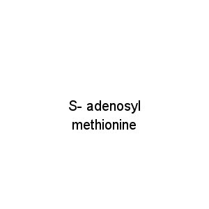 S- adenosyl methionine